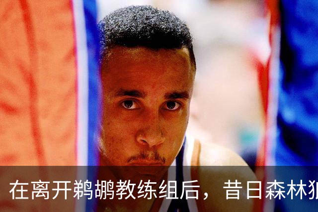 在离开鹈鹕教练组后，昔日森林狼乐透秀已经找到了新工作？